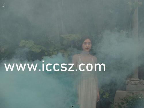 国产精品中文字幕在线观看,中文字幕盛宴,在线观影新体验